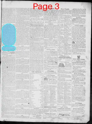 Page thumbnail for Staunton Spectator