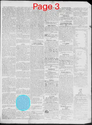 Page thumbnail for Staunton Spectator