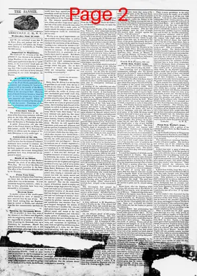 Page thumbnail for The Abbeville Banner