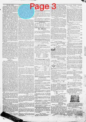 Page thumbnail for The Abbeville Banner