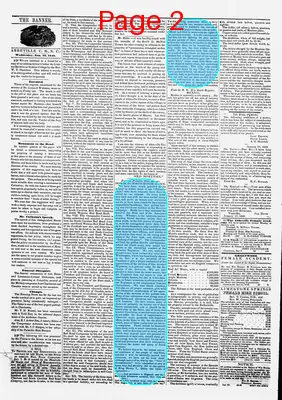 Page thumbnail for The Abbeville Banner