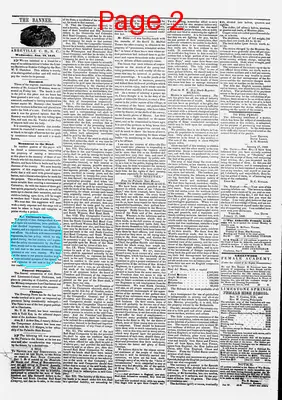 Page thumbnail for The Abbeville Banner