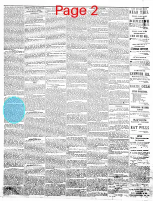 Page thumbnail for The Abbeville Banner