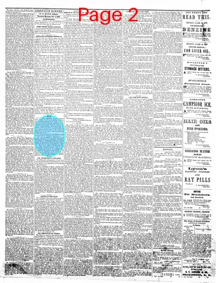 Page thumbnail for The Abbeville Banner