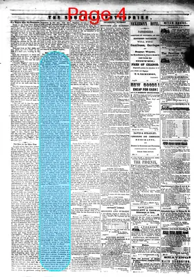 Page thumbnail for The Southern Enterprise
