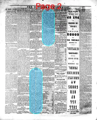 Page thumbnail for The Southern Enterprise