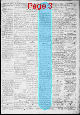 Page thumbnail for The Virginian