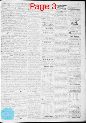Page thumbnail for The Virginian