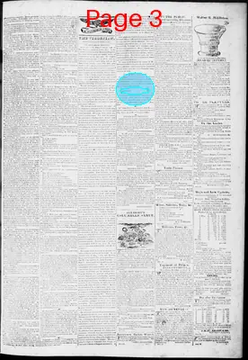 Page thumbnail for The Virginian