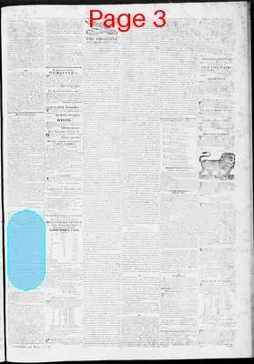 Page thumbnail for The Virginian