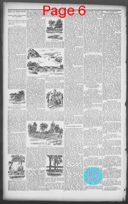 Page thumbnail for Phillipsburg Herald