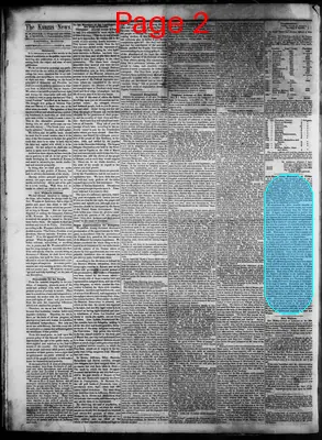 Page thumbnail for The Kanzas News