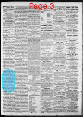 Page thumbnail for The Kanzas News
