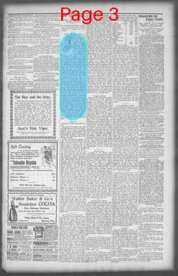 Page thumbnail for Hutchinson Gazette