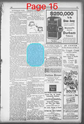 Page thumbnail for The Advocate