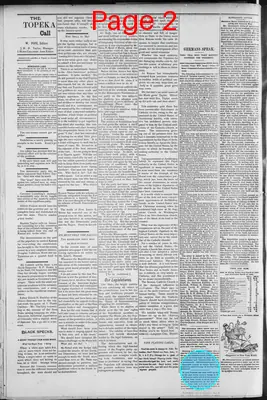 Page thumbnail for The Topeka Call