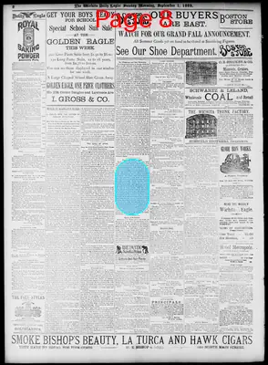 Page thumbnail for Wichita Eagle