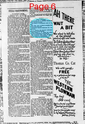 Page thumbnail for Thomas County Cat