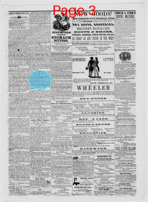 Page thumbnail for Dodgeville Chronicle