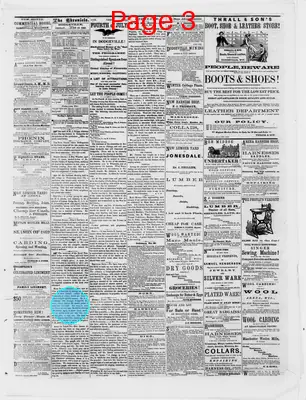 Page thumbnail for Dodgeville Chronicle