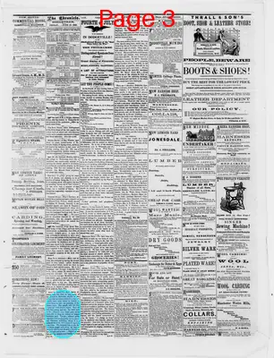 Page thumbnail for Dodgeville Chronicle