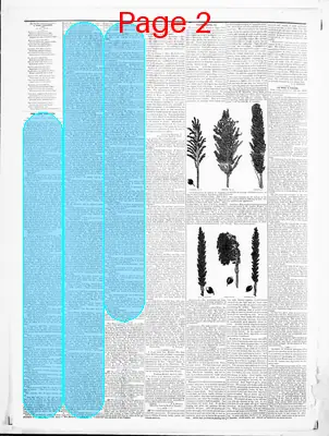 Page thumbnail for Wood County Reporter