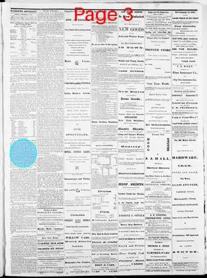 Page thumbnail for Watertown Republican