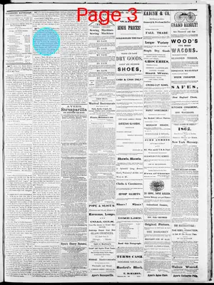 Page thumbnail for Watertown Republican