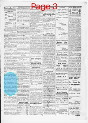 Page thumbnail for Watertown Republican