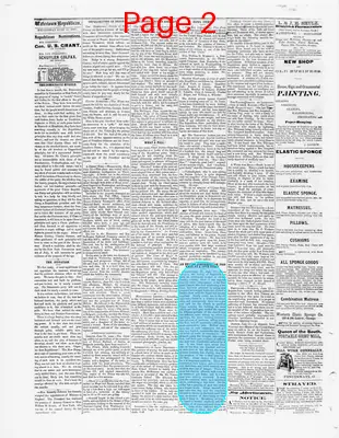 Page thumbnail for Watertown Republican