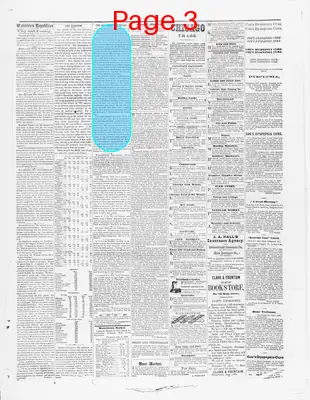 Page thumbnail for Watertown Republican