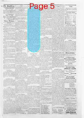 Page thumbnail for Watertown Republican