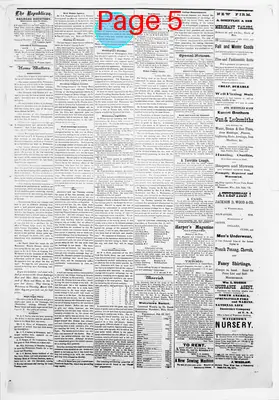 Page thumbnail for Watertown Republican