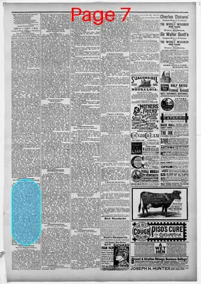 Page thumbnail for Watertown Republican