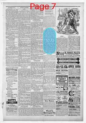 Page thumbnail for Watertown Republican