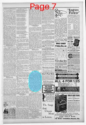 Page thumbnail for Watertown Republican