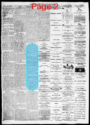 Page thumbnail for The Cairo Bulletin