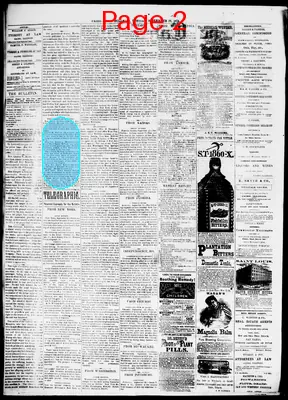 Page thumbnail for The Cairo Bulletin