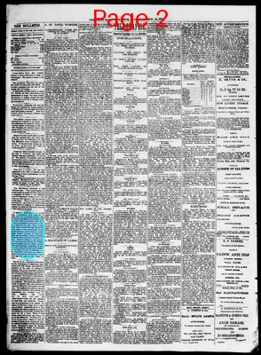 Page thumbnail for The Cairo Bulletin