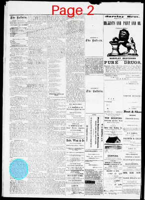 Page thumbnail for The Cairo Bulletin