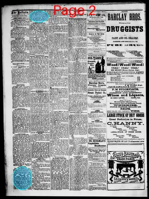 Page thumbnail for The Cairo Bulletin