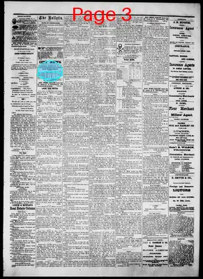 Page thumbnail for The Cairo Bulletin