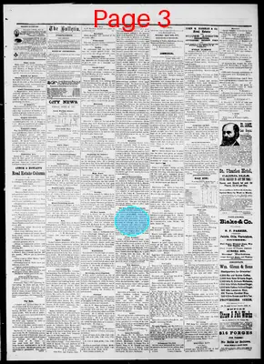 Page thumbnail for The Cairo Bulletin
