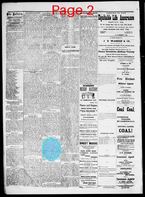 Page thumbnail for The Cairo Bulletin