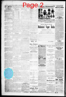 Page thumbnail for The Cairo Bulletin