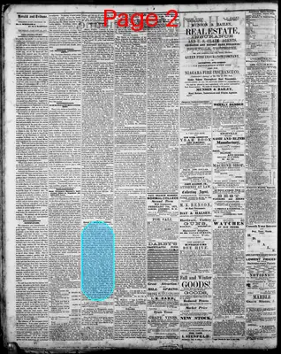 Page thumbnail for Herald And Tribune