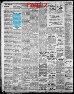 Page thumbnail for Herald And Tribune