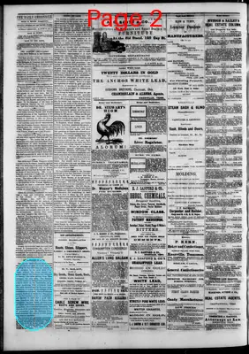 Page thumbnail for Knoxville Daily Chronicle