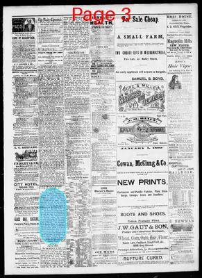 Page thumbnail for Knoxville Daily Chronicle