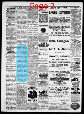 Page thumbnail for Knoxville Daily Chronicle